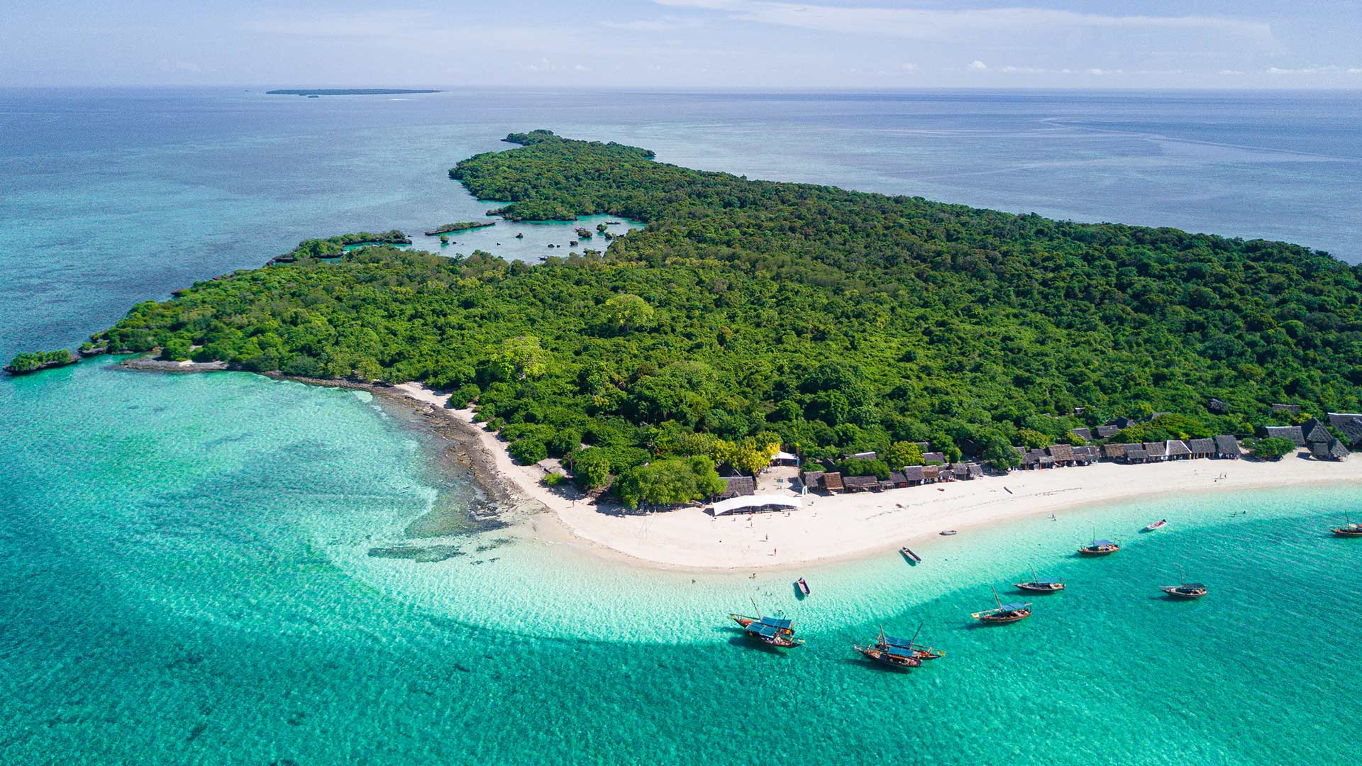 Safari Blue Zanzibar