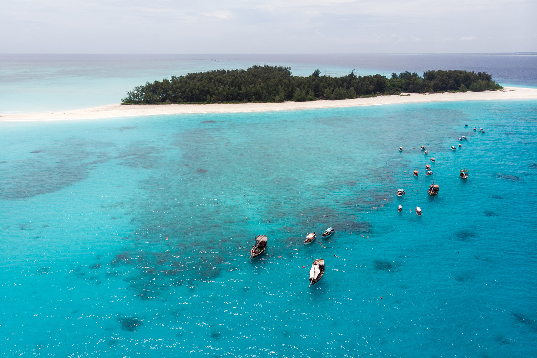 Mnemba Island Snorkeling